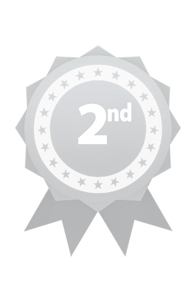 2nd Place Silver Award Badge