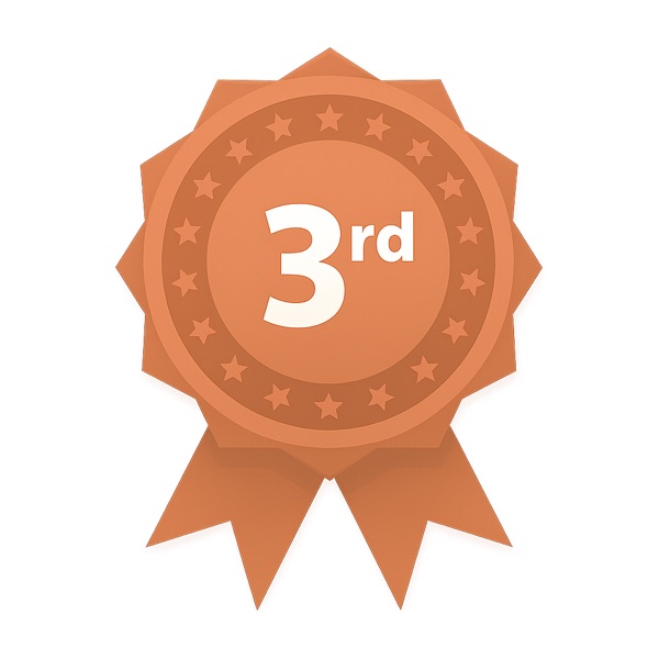 3rd Place Bronze Award Badge